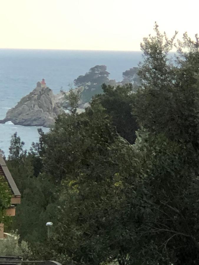 Apartmani Lime Petrovac المظهر الخارجي الصورة
