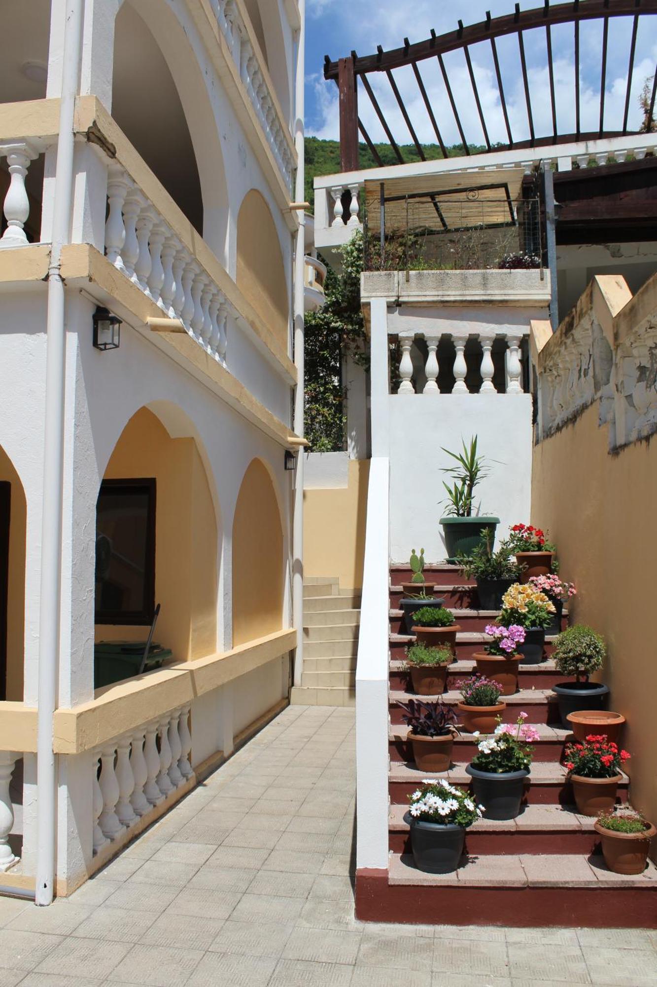 Apartmani Lime Petrovac المظهر الخارجي الصورة